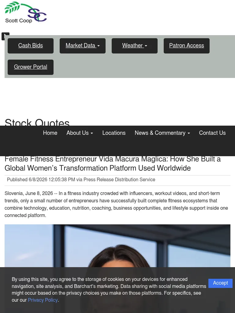 stocks-php-article-marketersmedia-2026-6-213