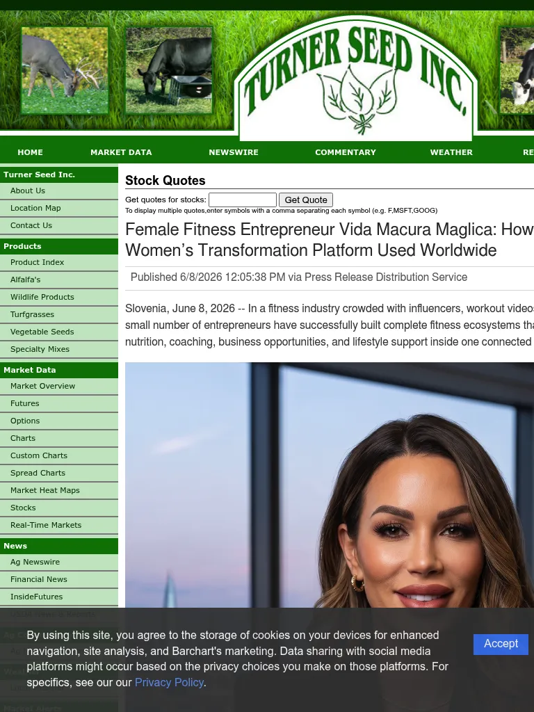 stocks-php-article-marketersmedia-2026-6-231