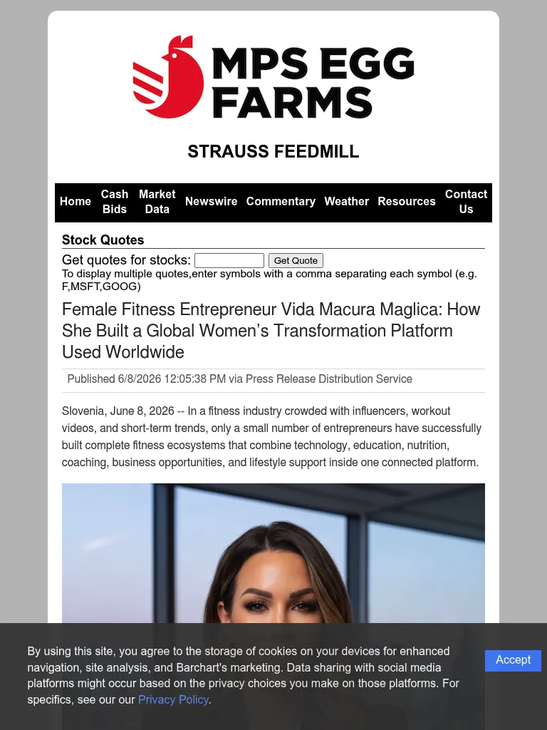 stocks-php-article-marketersmedia-2026-6-348