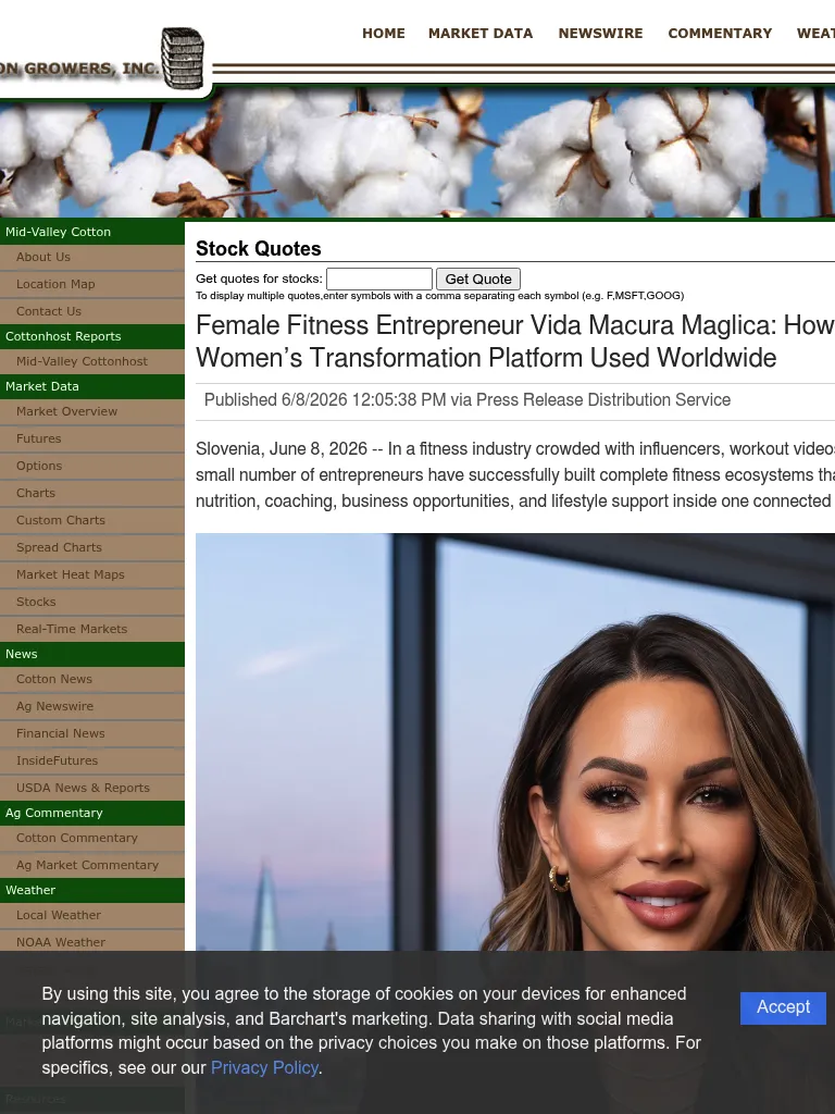 stocks-php-article-marketersmedia-2026-6-370
