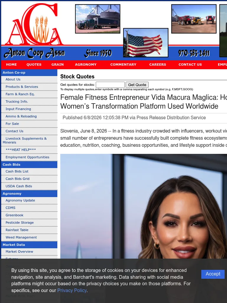 stocks-php-article-marketersmedia-2026-6-400