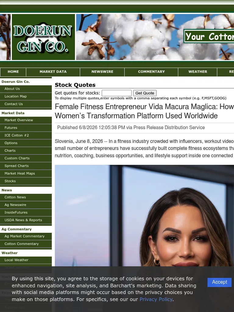stocks-php-article-marketersmedia-2026-6-460